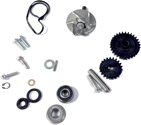 Water Pump Assy for CF 800 X8 CF800-2 U8 CF800-3 800 Trail Z8 800EX Z8-EX 2V91W Engine 0800-0800A0 0800-080001 0800-080002 in Kuwait