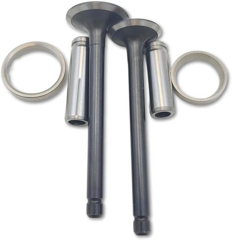 C2.2 Valves Set + Valve Stem Oil Seal Set Compatible With Caterpillar Cat C2.2 C2.2T Engine 3024C 3024T 3024CT in Kuwait