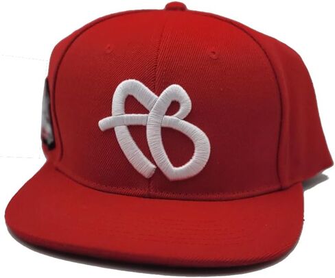 FUBU New 30th Anniversary Limited Edition Logo Red White Era Snapback Hat Cap in Kuwait