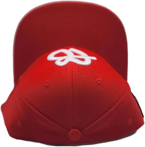 FUBU New 30th Anniversary Limited Edition Logo Red White Era Snapback Hat Cap in Kuwait