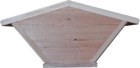 Generic 2 Cedar Dove Nesting Boxes in Saudi Arabia