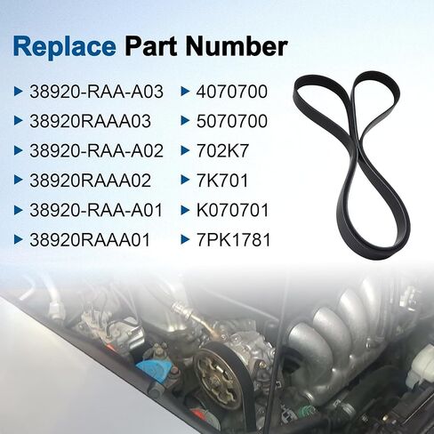 Engine Serpentine Drive Belt Fit for Honda Accord 2.4L 2003 2004 2005 2006 2007 Replace 38920RAAA03 38920-RAA-A03 7PK1785 in Saudi Arabia