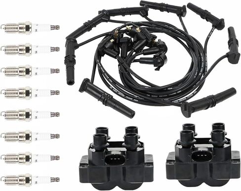 2PCS FD487 Ignition Coils and 8 Iridium Spark Plugs with Wire Set Compatible with Mercury Lincoln Town Car Ford Expedition F-150 Crown Victoria 4.6L V8 Replace DG530 DG523 in Saudi Arabia