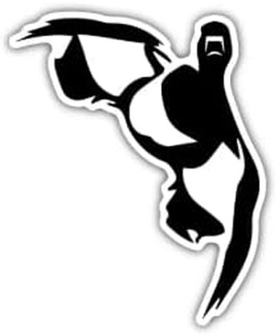 Waterfowl Decals Ultimate 5pc Duck Stickers - Duck Hunters Bundle - Laptop Tumbler Truck Car Window - Gear Box Cases - Hunting Decals in Kuwait