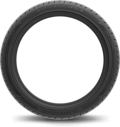 إطار Arroyo GRAND SPORT AS 255/25ZR24 فائق الأداء لجميع المواسم للركاب - SL، 95 وات، قيادة هادئة، قبضة رطبة وجافة in Saudi Arabia