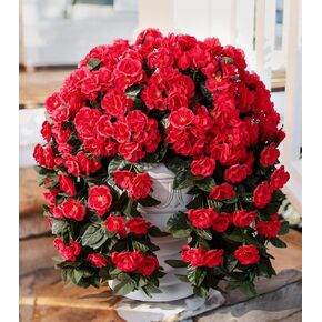 Artificial Geraniums Flowers for Outdoors Faux Hanging Plants Spring Outside Decor, 2 PCS UV Resistant Red Fake Silk Flowers Long Trailing Vines Look Real for Outdoor Planters Patio Porch Garden Home in Kuwait