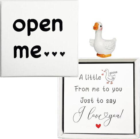 هدية Miss You، هدية الإوزة، هدايا I Love You، هدايا صغيرة لصديقتك، هدايا عيد ميلاد الذكرى السنوية للزفاف للنساء والرجال in Kuwait