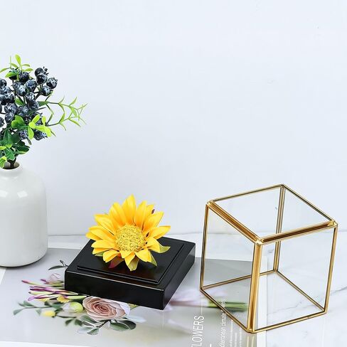 HighFree Clear Glass Display Case, Vintage Gold Glass Display Box Showcase with Black Solid Wooden Base, Square Clear Keepsake Box for Hobby Collectibles, 3.6x3.6x3.9 Inch in Kuwait