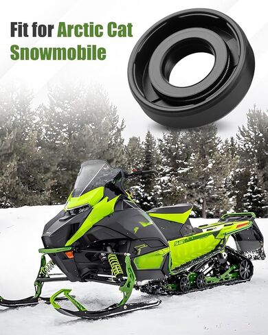 0930-060 Oil Seal (10 X 22 X 6-mm) Fit for Arctic Cat Snowmobile， High Quality Black in Kuwait