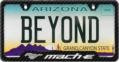 iPick Image for Ford Mustang Mach-E Black Carbon Fiber Texture ABS Plastic 50 States License Plate Frame in Saudi Arabia