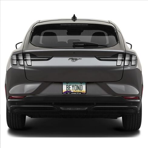 iPick Image for Ford Mustang Mach-E Black Carbon Fiber Texture ABS Plastic 50 States License Plate Frame in Saudi Arabia