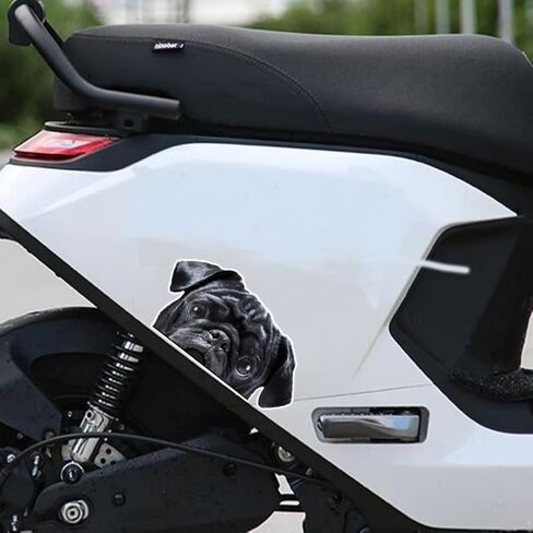 قطعتان من ملصق الفينيل الأسود للصلصال مقاس 5.91 بوصة × 3.15 بوصة، ملصق كلب متجعد لطيف للزجاج الأمامي الخلفي، المصد، السيارة الترفيهية، الكمبيوتر المحمول، ديكور معبر للحيوانات الأليفة |#DK179 in Kuwait