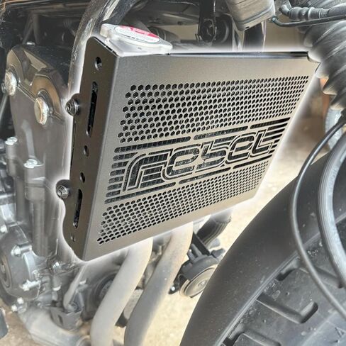 Motorcxycle Rebel 500 CMX Radiator Grille Guard Protector Grill Cover Protection Net fit for HO&N&DA Rebel CMX 500 CMX500 CMX 300 CMX250 Accessories 2017-2025 in Saudi Arabia