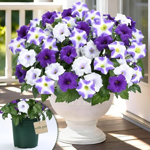 MARTINE MALL Artificial Flowers for Outdoors, 2 Potted Realistic Fake Outdoor Flowers, UV Resistant Silk Petunia Flower for Outside Look Real Faux Flower Plants in Pot for Porch Garden Decor, 20'' in Saudi Arabia
