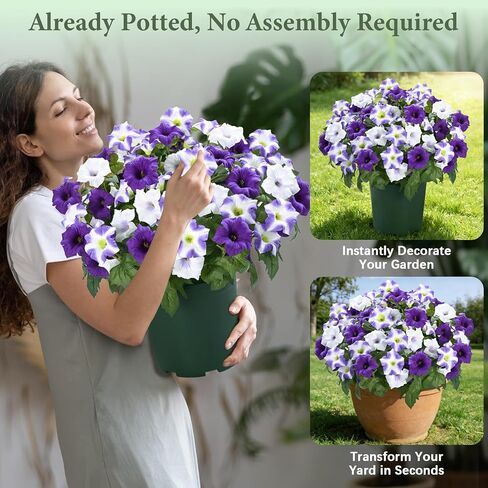 MARTINE MALL Artificial Flowers for Outdoors, 2 Potted Realistic Fake Outdoor Flowers, UV Resistant Silk Petunia Flower for Outside Look Real Faux Flower Plants in Pot for Porch Garden Decor, 20'' in Saudi Arabia