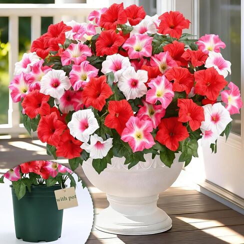 MARTINE MALL Artificial Flowers for Outdoors, 2 Potted Realistic Fake Outdoor Flowers, UV Resistant Silk Petunia Flower for Outside Look Real Faux Flower Plants in Pot for Porch Garden Decor, 20'' in Saudi Arabia