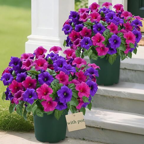 MARTINE MALL Artificial Flowers for Outdoors, 2 Potted Realistic Fake Outdoor Flowers, UV Resistant Silk Petunia Flower for Outside Look Real Faux Flower Plants in Pot for Porch Garden Decor, 20'' in Saudi Arabia