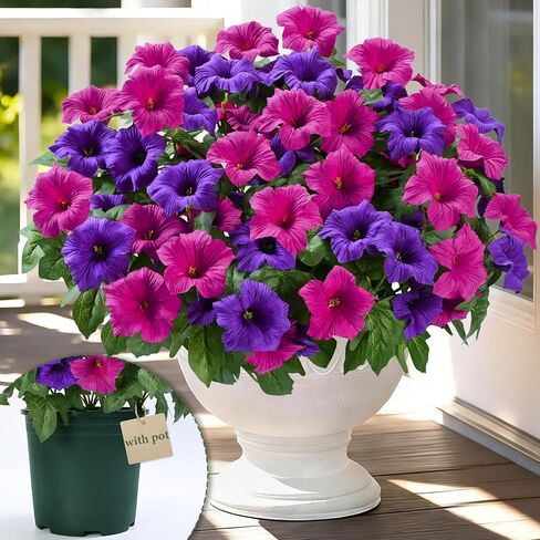 MARTINE MALL Artificial Flowers for Outdoors, 2 Potted Realistic Fake Outdoor Flowers, UV Resistant Silk Petunia Flower for Outside Look Real Faux Flower Plants in Pot for Porch Garden Decor, 20'' in Saudi Arabia