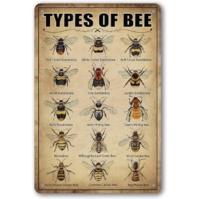 Vintage Bee Knowledge Tin Sign - Retro Metal Wall Art Decor for Classroom and Bathroom - Insect Hanging Poster 8 x 12 Inch in Kuwait