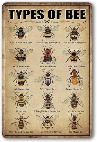 Vintage Bee Knowledge Tin Sign - Retro Metal Wall Art Decor for Classroom and Bathroom - Insect Hanging Poster 8 x 12 Inch in Kuwait