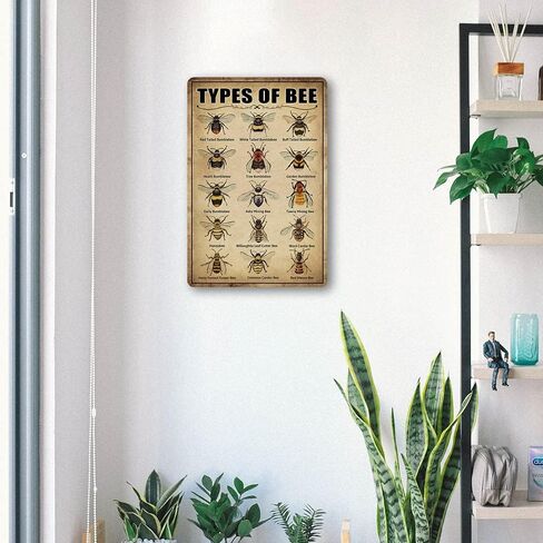 Vintage Bee Knowledge Tin Sign - Retro Metal Wall Art Decor for Classroom and Bathroom - Insect Hanging Poster 8 x 12 Inch in Kuwait