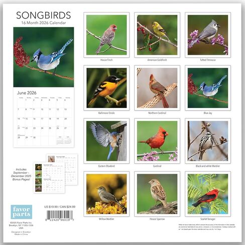 Songbirds 2025 Hangable Wall Calendar Monthly Beautiful Wildlife Bird Photo Gift Forest Birds Nature Photography Office Him Her Birding Birder Gifts (2025 Songbirds) in Kuwait