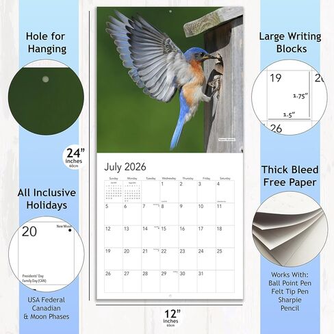 Songbirds 2025 Hangable Wall Calendar Monthly Beautiful Wildlife Bird Photo Gift Forest Birds Nature Photography Office Him Her Birding Birder Gifts (2025 Songbirds) in Kuwait