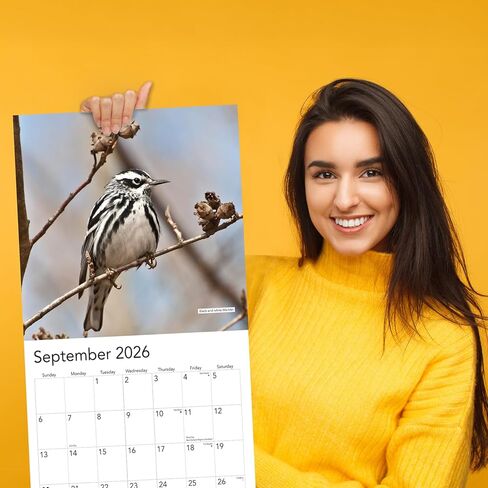 Songbirds 2025 Hangable Wall Calendar Monthly Beautiful Wildlife Bird Photo Gift Forest Birds Nature Photography Office Him Her Birding Birder Gifts (2025 Songbirds) in Kuwait