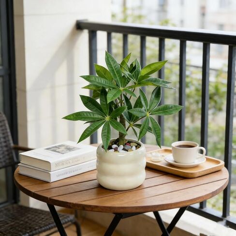 ديكور مكتب مكتب نبات شجرة المال الاصطناعي للنساء، نبات مزيف في وعاء سيراميك، ملحقات الطاولة للمكتب، الحمام، غرفة المعيشة، بار القهوة، هدية لزملاء العمل والدفء المنزلي in Saudi Arabia
