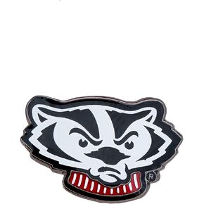 Desert Cactus University of Wisconsin Lapel Pins Badgers UW Madison University Logo Enamel Made of Metal (Pin D)