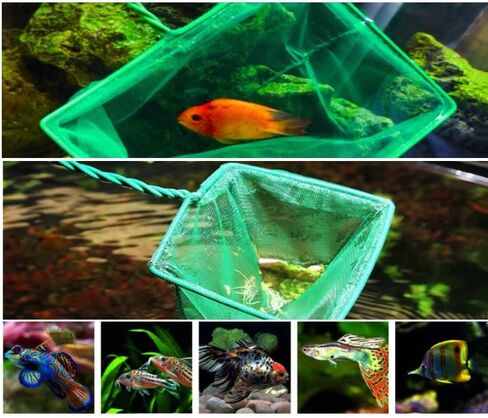 4PCS Fish Tank Aquarium Cleaning Tools Kit Aquarium Fish Nets Aquarium Fish Skimmer Net and Double-Sided Fish Tank Sponge Cleaning Brush in Kuwait