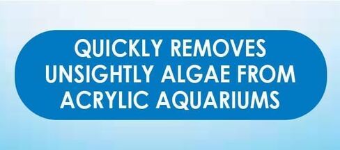 Algae Hand Pad For Acrylic in Saudi Arabia