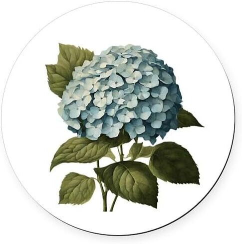 CafePress البلد الفرنسي خمر الكوبية النباتية 5.5 "سيارة مستديرة المغناطيس المغناطيسي المصد العرض in Saudi Arabia