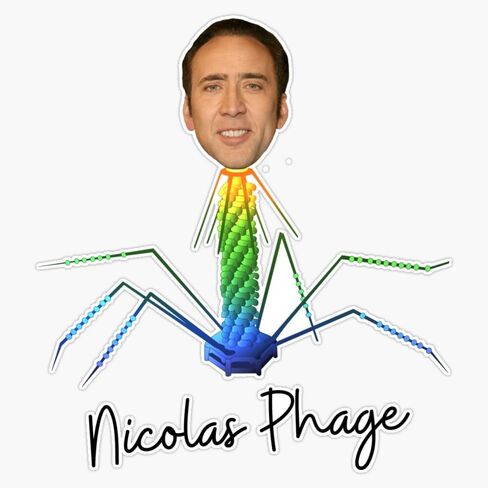 ملصق فينيل مغناطيسي من MAGNET Nicolas Phage Bacteriophage Virus ملصق فينيل مغناطيسي 5 بوصات in Saudi Arabia