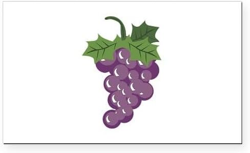 مغناطيس مصد السيارة المستطيل من CafePress Crazy 4 Grapes in Saudi Arabia