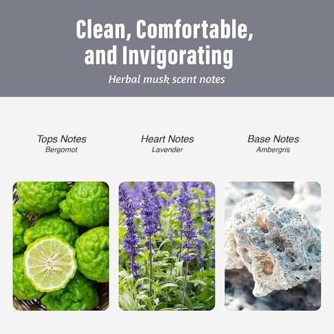 معطر هواء للسيارة عبوتين - على شكل مصباح كهربائي رائع - مشبك تهوية للسيارة - رائحة تدوم طويلاً - زيوت عطرية - إكسسوارات سيارة معطرة - محيط in Kuwait