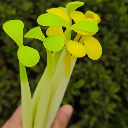 8 Pack Sprout Gel Pens, Yellow Seedling Pens Green Grass plant Pen Fresh floral Pen Bendable Design 0.5mm Fine Point Black Ink, Kawaii Novelty Stationery for Journaling Office Supplies in Kuwait
