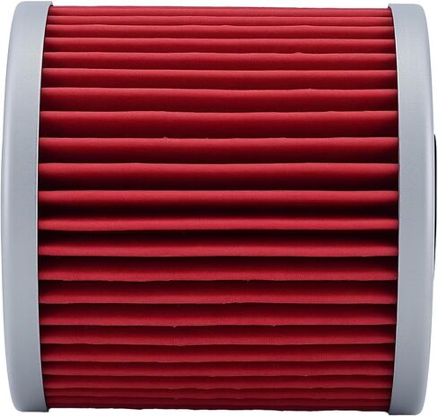 Motorcycle Oil Filter Compatible with Kawasaki KLR650 HF123 123 Bayou 300 Oil Filter 220 250 KLF220 KLF250 KLF300 KLF300A KLF300B KLF300C KLX250 KLX650A KLX650C KLX650D in Kuwait