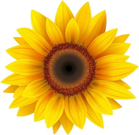 Yellow Sunflower Decal Sticker for Car Indoor/Outdoor Vinyl Sticker Decal for Laptop | Motorcycle | Windows | Bumpers | Size: 6" in Saudi Arabia
