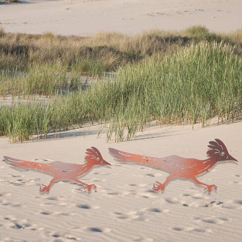 2 Pcs Roadrunner Garden Art Metal Yard Art Decorative Garden Stakes Southwest Desert Bird Decor for Garden Yard Metal Yard Ornaments Bird Art Mexican Roadrunner Gifts (Vivid) in Saudi Arabia