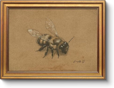 لوحة فنية جدارية مطبوعة على شكل نحلة عتيقة مقاس 12 × 16، قماش بإطار ذهبي عتيق، لوحة حشرات نباتية ريفية قديمة، رسم نحلة كلاسيكية لعلم الحشرات، ديكور مدخل دراسة المزرعة in Kuwait
