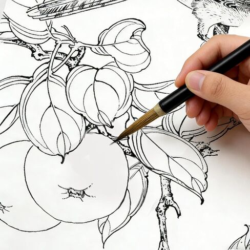 مجموعة 3 قطع من فرش الرسم الصيني لرسم خطوط طيور الزهور، جيدة الصنع وفعالة في أعمال الألوان المائية والخط، مناسبة للأوراق والمناظر الطبيعية in Kuwait