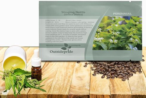 Outsidepride 5000 Seeds Perennial Urtica Dioica Stinging Nettle Herb Garden Seeds for Planting in Kuwait