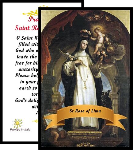 Gifts by Lulee, LLC Saint Rose of Lima Santa Rosa de Lima Lavender Rosary with Amethyst Pater Noster Capped Beads Silver Plated Bezel Centerpiece with Color Image and a Prayer Card English or Spanish in Saudi Arabia