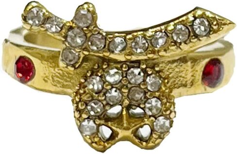 The Quiet Witness T143 Women's Shriner Ring Ladies Women Shrine Scimitar Jewelry Shrine Lady Noble Wife in Kuwait