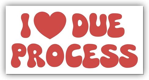 Magnet Sticker I Love Due Process Magnetic Protect Immigrants, Deport Fascists Social Justice Human Rights Blue Magnet for Bumper, Refrigerator, Cruise Door, Car, Truck 7.5x3.75in in Saudi Arabia