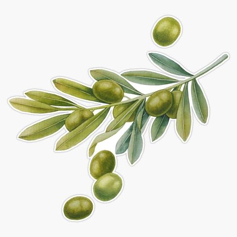 Watercolor Green Olive Branch Vinyl Decal Bumper Sticker 5" in Kuwait