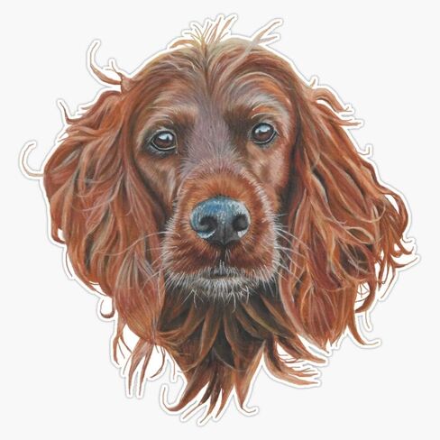 MAGNET Irish Setter Vinyl Waterproof Magnetic Sticker Vinyl Waterproof Magnet Decal Car 5" in Saudi Arabia
