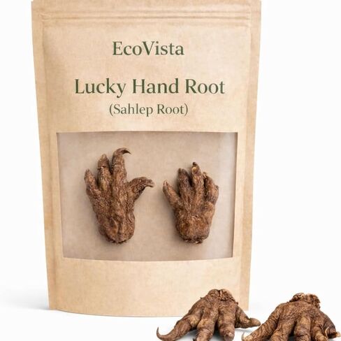 Lucky Hand Root (Sahlep Root) – 100% Authentic Orchis Mascula – Rare Hoodoo Curio for Good Luck, Prosperity & Wealth – 2 Pieces Whole Natural Root in Kuwait