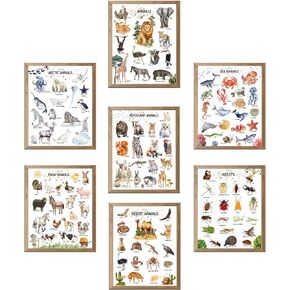Educational Animal Poster, Preschool Wall Decor for Toddlers Set of 7 Unframed (8''x10'') Kindergarten School, Nursery,Farm, Sea, Desert, Woodland, Arctic Animals & Insects for Kids Room Decor in Saudi Arabia